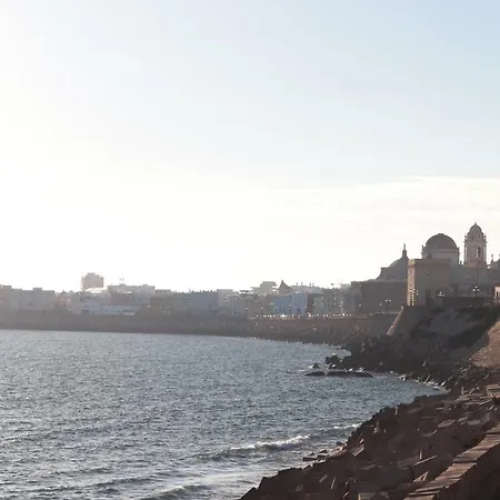 La Cebra Cádiz